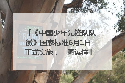 《中国少年先锋队队徽》国家标准6月1日正式实施，一图读懂