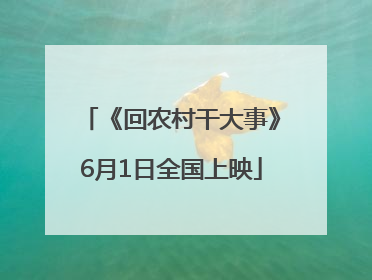 《回农村干大事》6月1日全国上映
