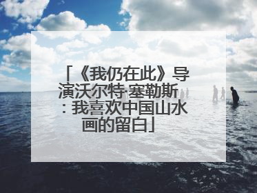《我仍在此》导演沃尔特·塞勒斯：我喜欢中国山水画的留白