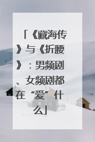 《藏海传》与《折腰》：男频剧、女频剧都在“爱”什么