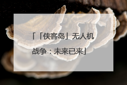 「侠客岛」无人机战争：未来已来