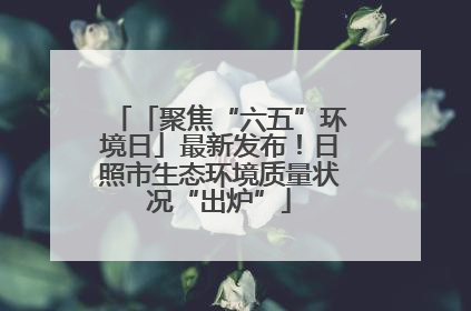 「聚焦“六五”环境日」最新发布！日照市生态环境质量状况“出炉”