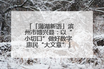 「蒲湖新语」滨州市博兴县：以“小切口”做好数字惠民“大文章”