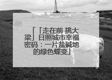 「走在前 挑大梁」日照城市幸福密码：一片盐碱地的绿色蝶变