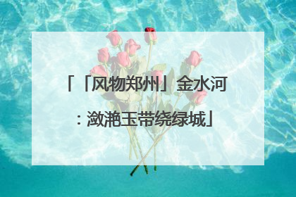 「风物郑州」金水河：潋滟玉带绕绿城
