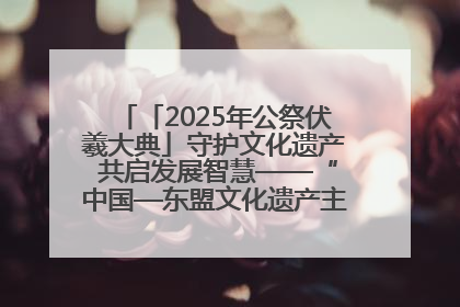 「2025年公祭伏羲大典」守护文化遗产 共启发展智慧——“中国—东盟文化遗产主题对话”侧记