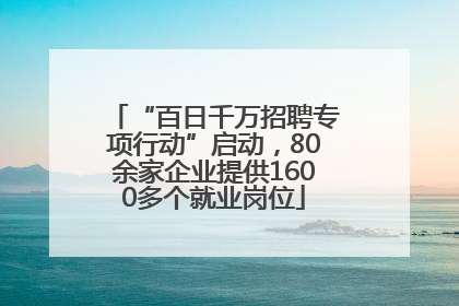“百日千万招聘专项行动”启动，80余家企业提供1600多个就业岗位