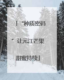 “种质密码”让元江芒果甜蜜持续