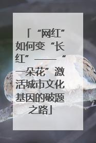 “网红”如何变“长红”——“一朵花”激活城市文化基因的破题之路