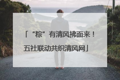 “粽”有清风拂面来！五社联动共织清风网