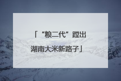 “粮二代”蹚出湖南大米新路子