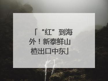 “红”到海外！新泰鲜山楂出口中东