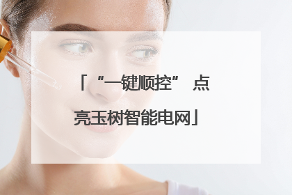 “一键顺控” 点亮玉树智能电网
