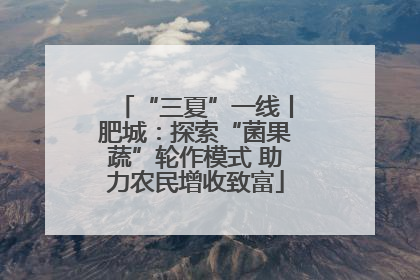 “三夏”一线丨肥城：探索“菌果蔬”轮作模式 助力农民增收致富