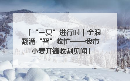 “三夏”进行时｜金浪翻涌“智”收忙——我市小麦开镰收割见闻