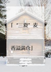 “三夏”麦香溢满仓