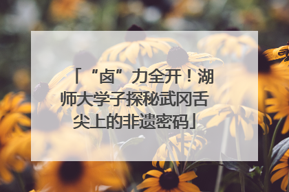 “卤”力全开！湖师大学子探秘武冈舌尖上的非遗密码