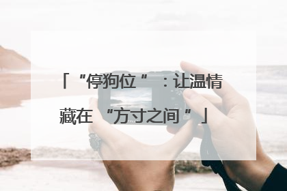 “停狗位 ”：让温情藏在 “方寸之间 ”