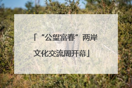 “公望富春”两岸文化交流周开幕
