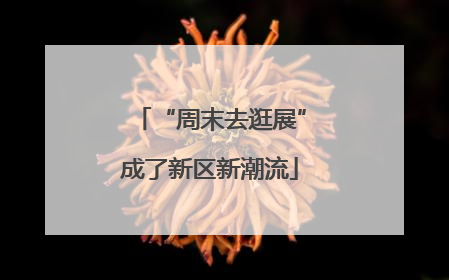“周末去逛展”成了新区新潮流