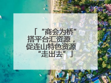 “商会为桥”搭平台汇资源，促连山特色资源“走出去”