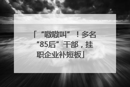“嗷嗷叫”！多名“85后”干部，挂职企业补短板
