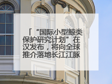 “国际小型鲸类保护研究计划”在汉发布，将向全球推介落地长江江豚保护经验