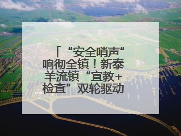 “安全哨声”响彻全镇！新泰羊流镇“宣教+检查”双轮驱动筑牢安全防线