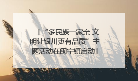 “多民族一家亲 文明让银川更有品质”主题活动在闽宁镇启动