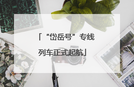 “岱岳号”专线列车正式起航