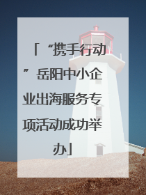 “携手行动”岳阳中小企业出海服务专项活动成功举办