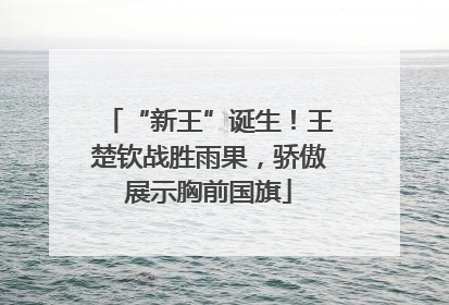 “新王”诞生！王楚钦战胜雨果，骄傲展示胸前国旗