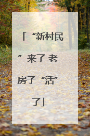 “新村民”来了 老房子“活”了