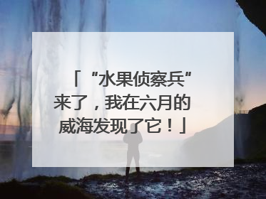 “水果侦察兵”来了，我在六月的威海发现了它！