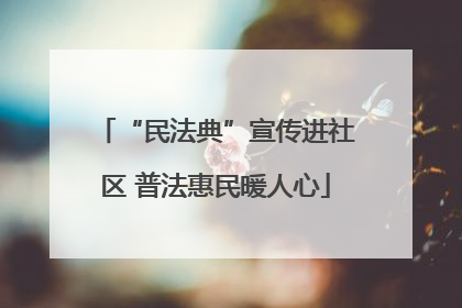 “民法典”宣传进社区 普法惠民暖人心