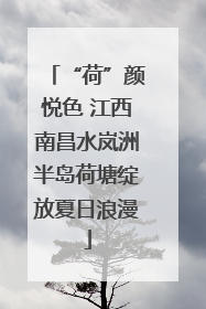 “荷”颜悦色 江西南昌水岚洲半岛荷塘绽放夏日浪漫