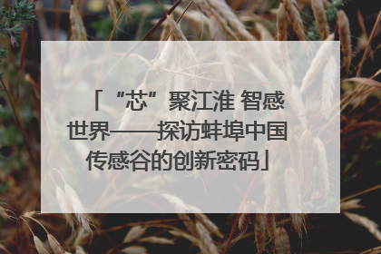 “芯”聚江淮 智感世界——探访蚌埠中国传感谷的创新密码