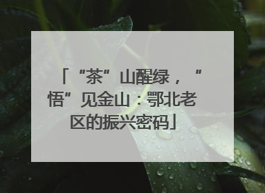 “茶”山醒绿，“悟”见金山：鄂北老区的振兴密码