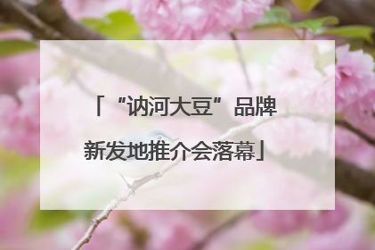 “讷河大豆”品牌新发地推介会落幕