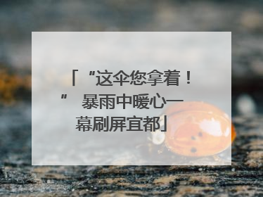 “这伞您拿着！” 暴雨中暖心一幕刷屏宜都