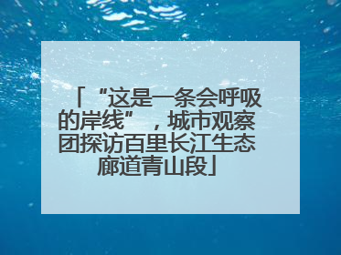 “这是一条会呼吸的岸线”，城市观察团探访百里长江生态廊道青山段