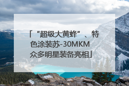 “超级大黄蜂”、特色涂装苏-30MKM 众多明星装备亮相