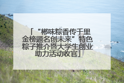 “郴味粽香传千里 金榜题名创未来”特色粽子推介暨大学生创业助力活动收官