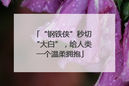 “钢铁侠”秒切“大白”，给人类一个温柔拥抱