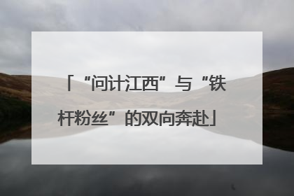 “问计江西”与“铁杆粉丝”的双向奔赴