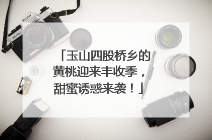 玉山四股桥乡的黄桃迎来丰收季，甜蜜诱惑来袭！