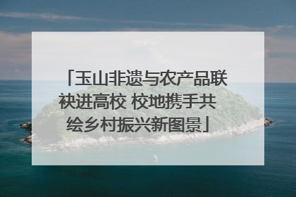 玉山非遗与农产品联袂进高校 校地携手共绘乡村振兴新图景