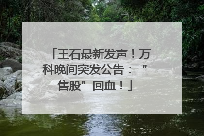王石最新发声！万科晚间突发公告：“售股”回血！