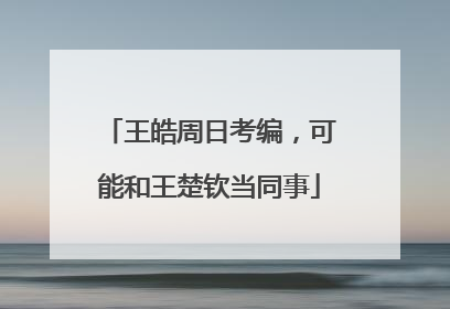 王皓周日考编，可能和王楚钦当同事