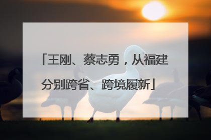 王刚、蔡志勇，从福建分别跨省、跨境履新